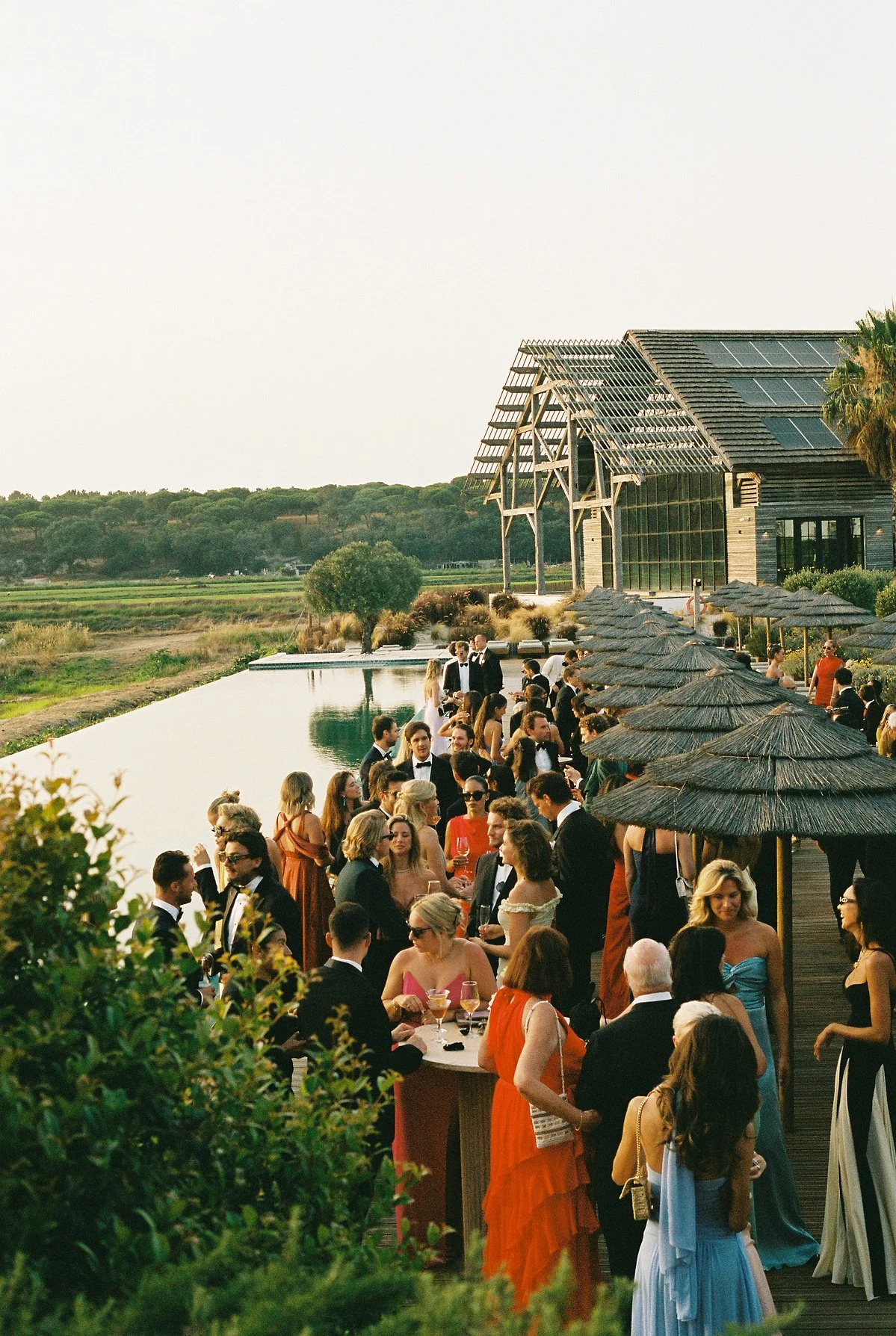 Guests at a poolside reception at golden hour